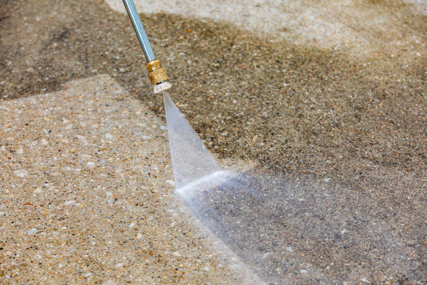 Best Roof Cleaning and Mildew Removal in Smithville Sanders, IN